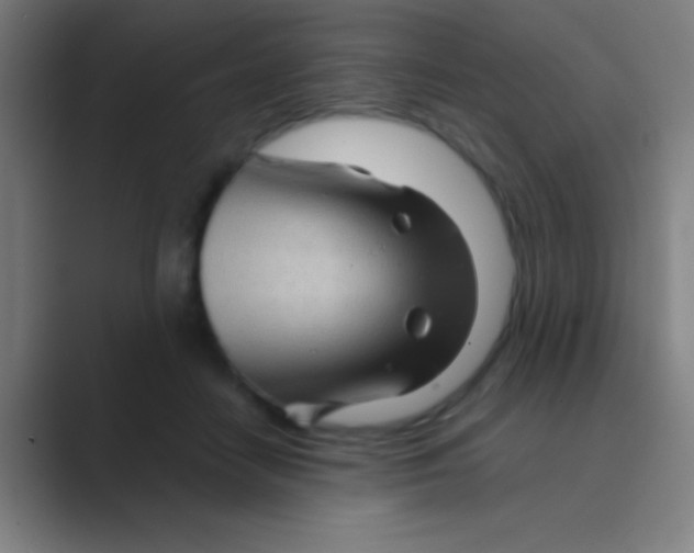 X0000088720458200706282107