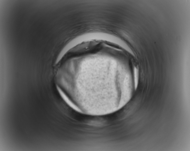 X0000088720459200706282107