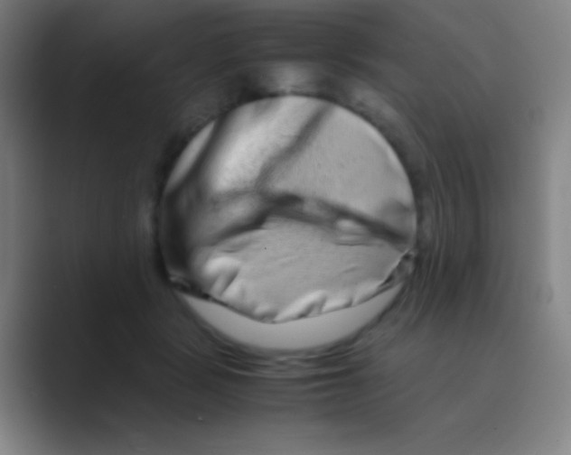 X0000088720461200706282107