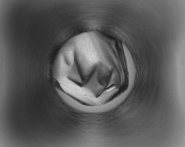 X0000088720462200706282107