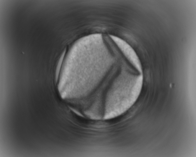 X0000088720463200706282107