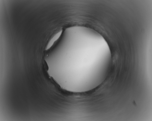 X0000088720464200706282107