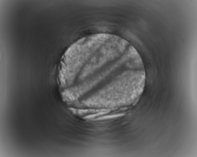 X0000088720465200706282107