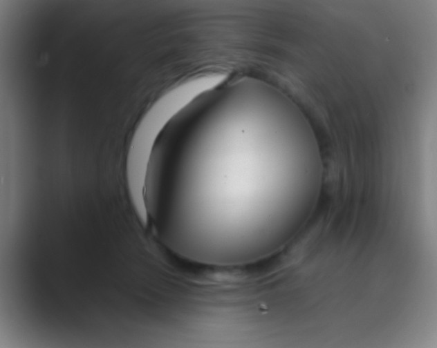 X0000088720466200706282107