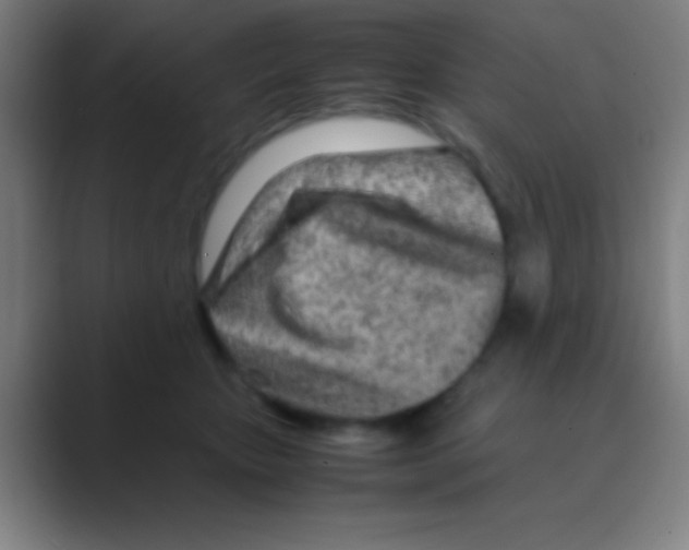 X0000088720467200706282107