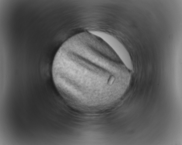 X0000088720470200706282107