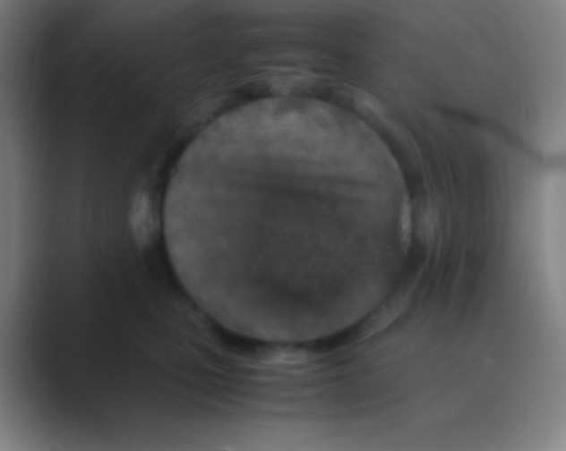 X0000088720471200706282107