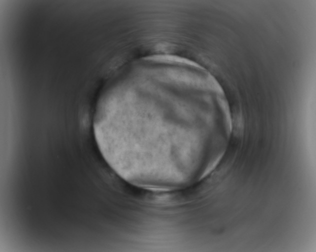 X0000088720472200706282107