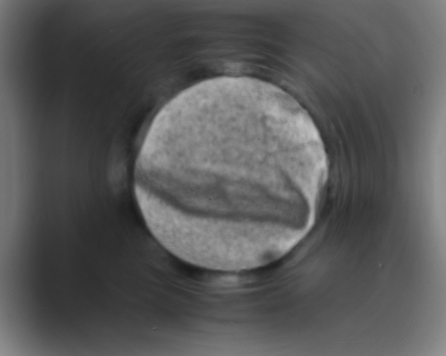 X0000088720473200706282107