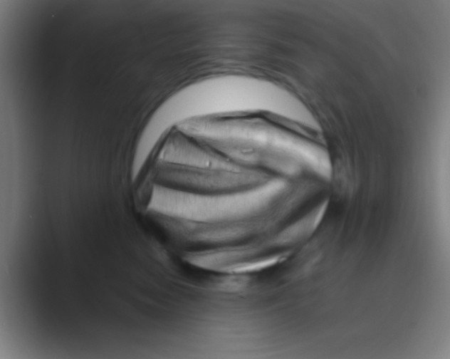 X0000088720474200706282107