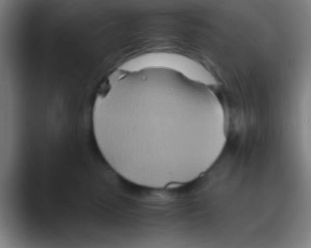 X0000088720475200706282107