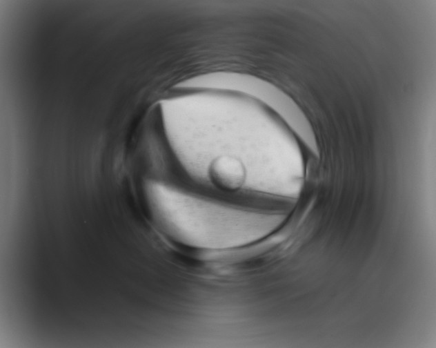 X0000088720478200706282107