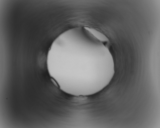 X0000088720480200706282107