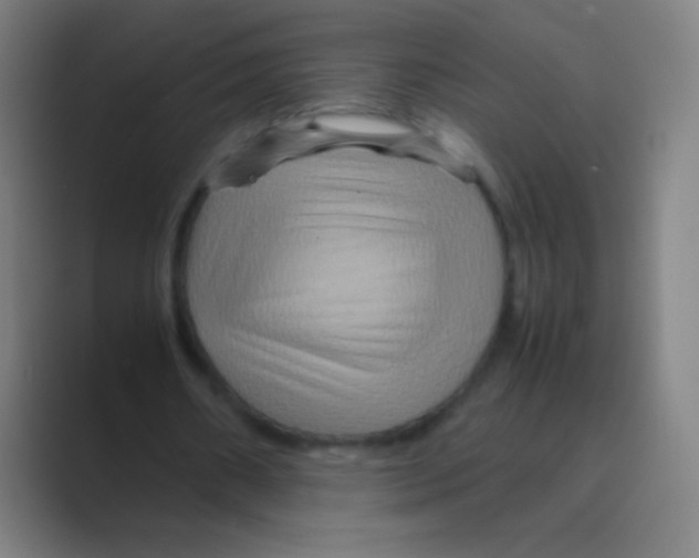 X0000088720482200706282107