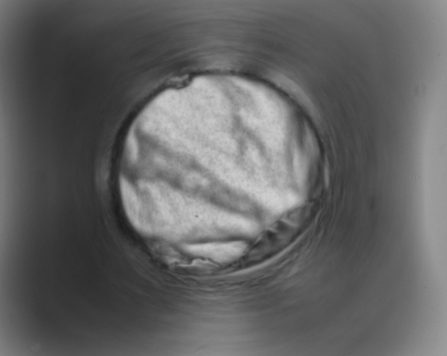 X0000088720483200706282107