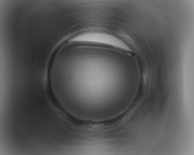 X0000088720484200706282107