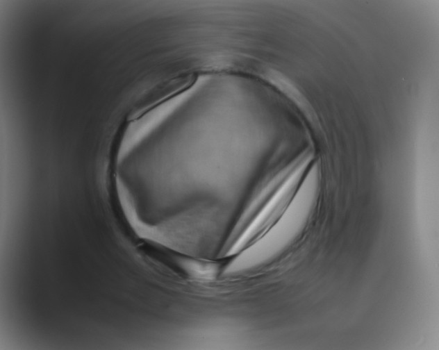 X0000088720485200706282106