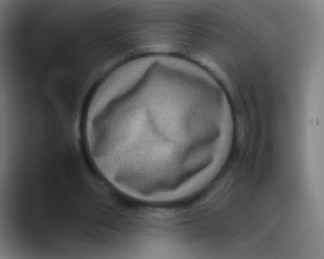 X0000088720486200706282106