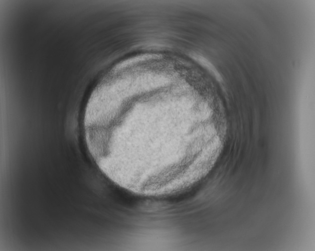 X0000088720487200706282106