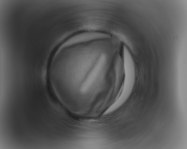 X0000088720488200706282106