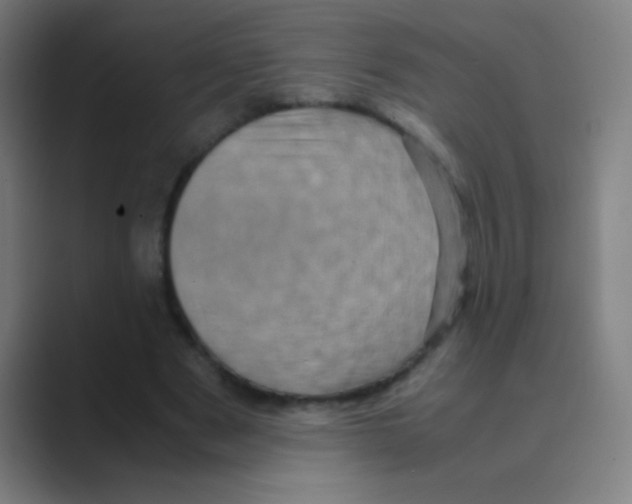 X0000088720489200706282106