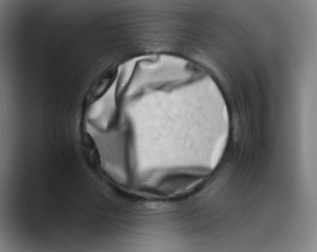 X0000088720490200706282106