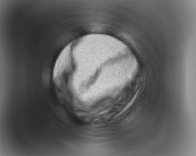 X0000088720495200706282106