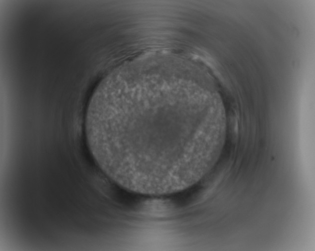 X0000088720499200706282106