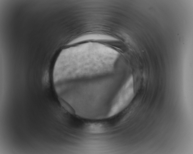 X0000088720500200706282106