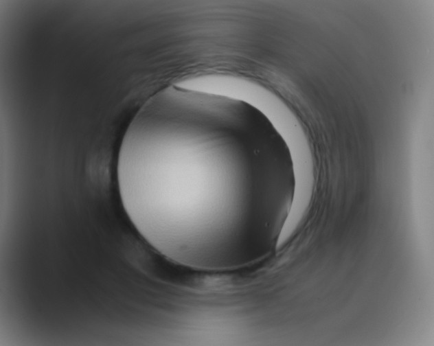 X0000088720501200706282106