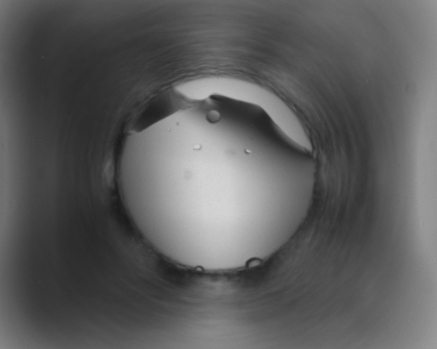 X0000088720502200706282106