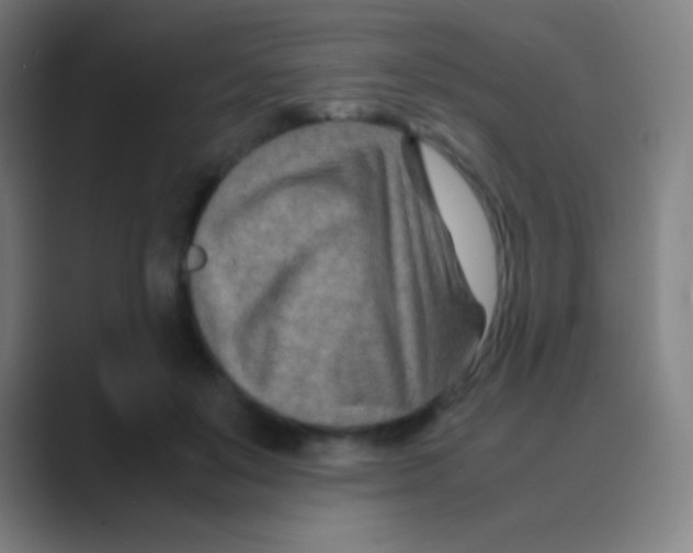 X0000088720503200706282106