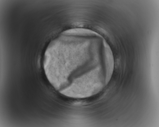 X0000088720504200706282106