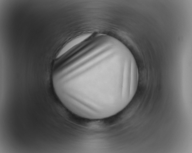 X0000088720505200706282106