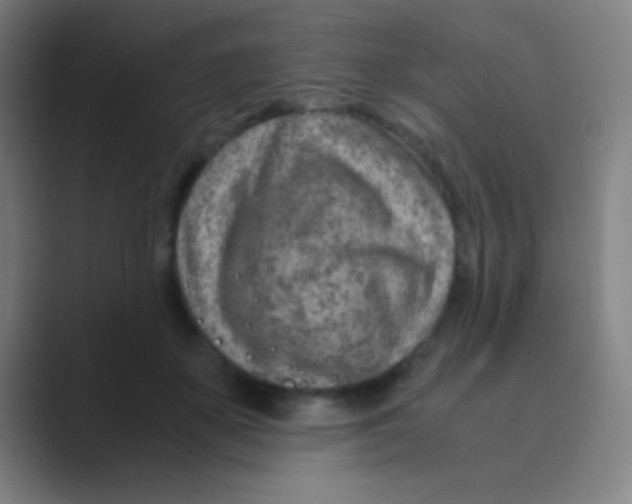 X0000088720507200706282106