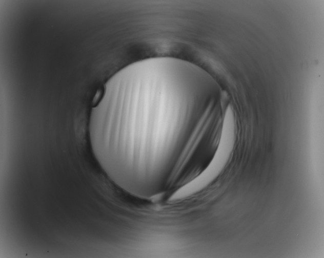 X0000088720509200706282106