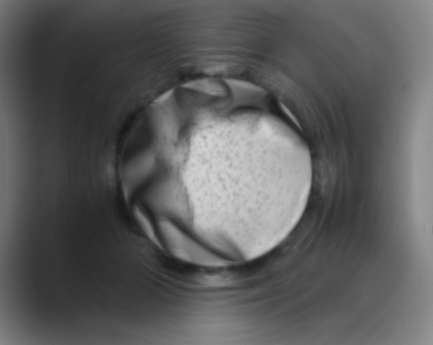 X0000088720510200706282106