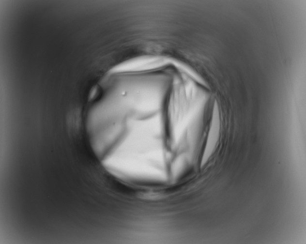 X0000088720511200706282106