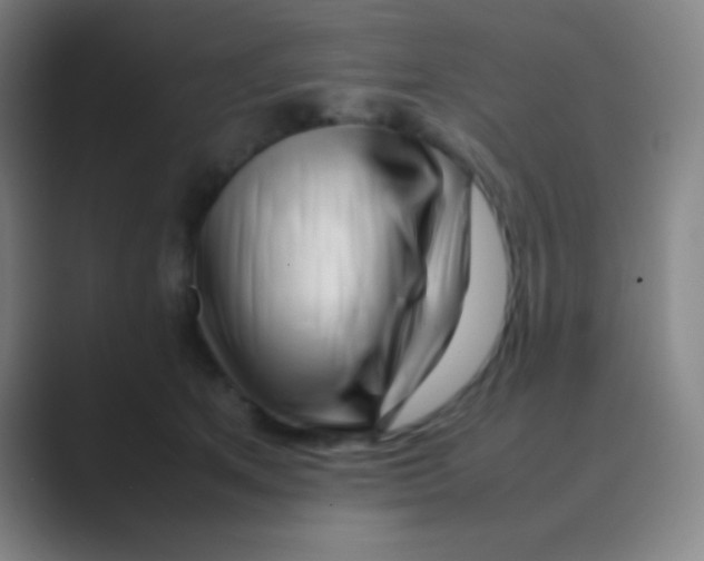 X0000088720513200706282106