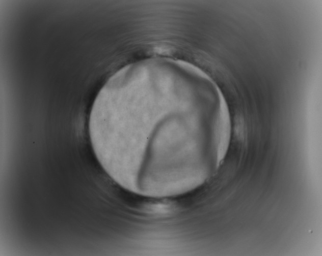 X0000088720514200706282106