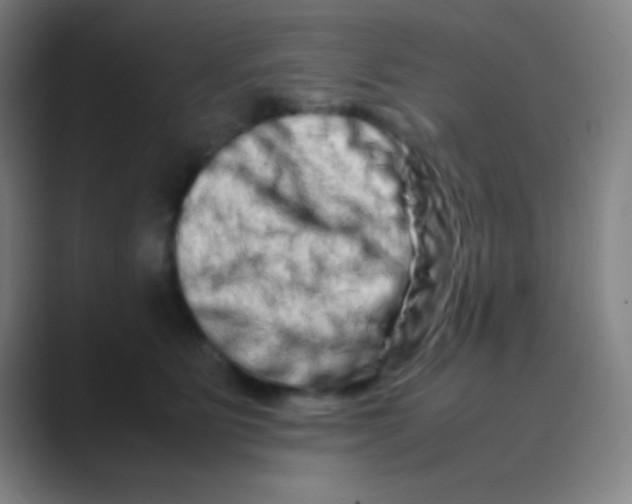 X0000088720515200706282106