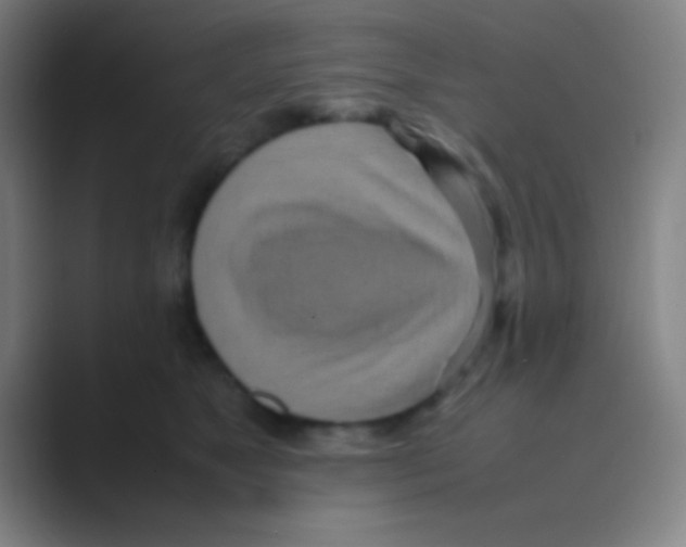 X0000088720517200706282106