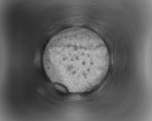 X0000088720519200706282106