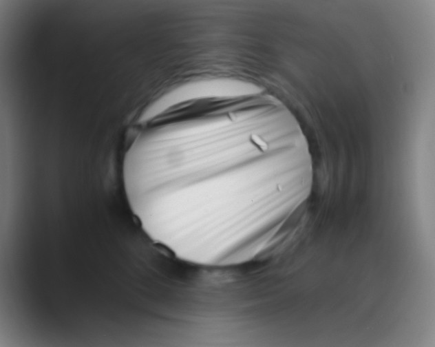 X0000088720520200706282106