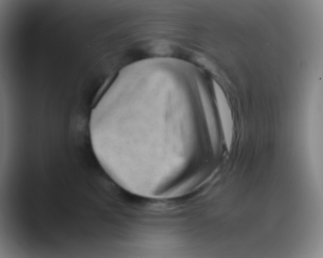 X0000088720521200706282106