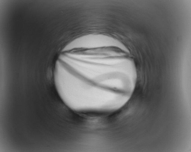 X0000088720523200706282106