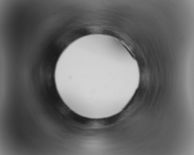 X0000088720525200706282106