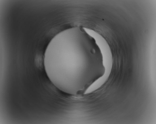 X0000088720526200706282106