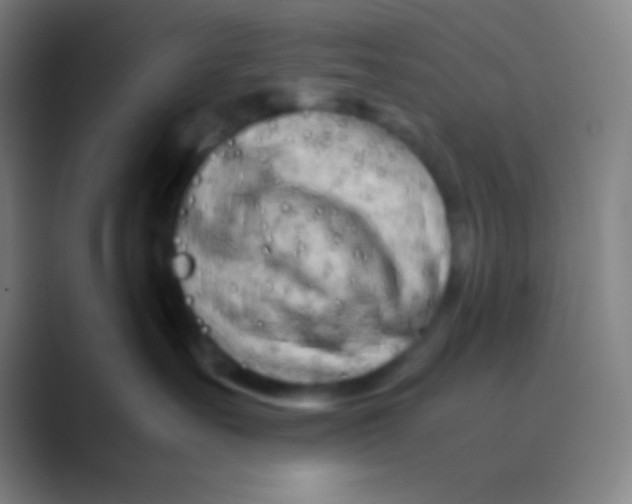 X0000088720527200706282106