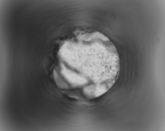 X0000088720528200706282106